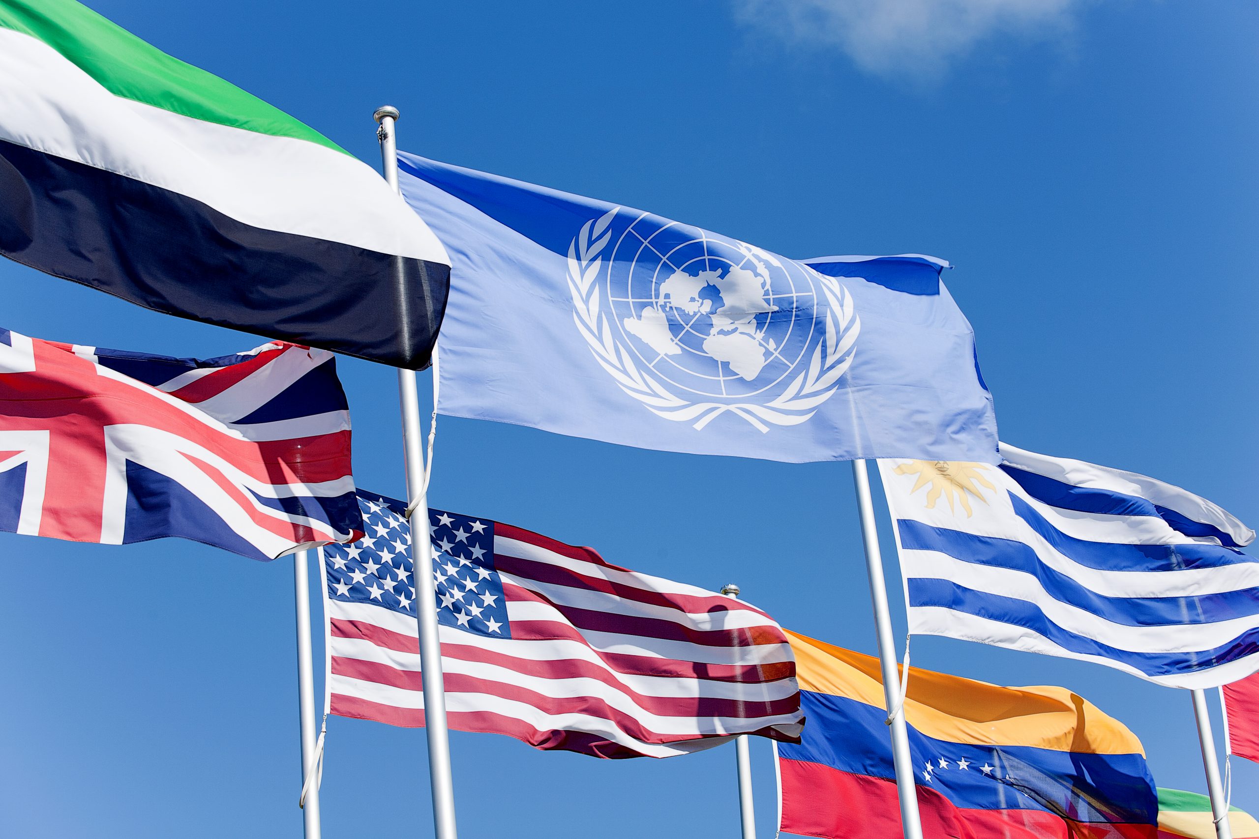 Оон франция. Флаг ООН. ООН картинки. Организация международных наций. Флаг организации Объединенных наций.