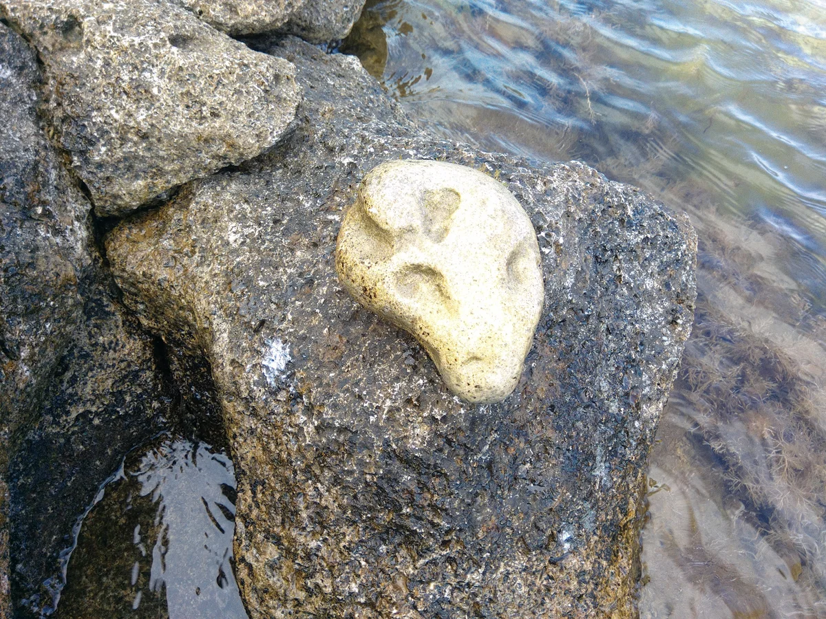 Кто выкопал черное море