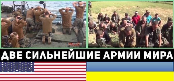 Америка ввела санкции против лошади Кадырова
