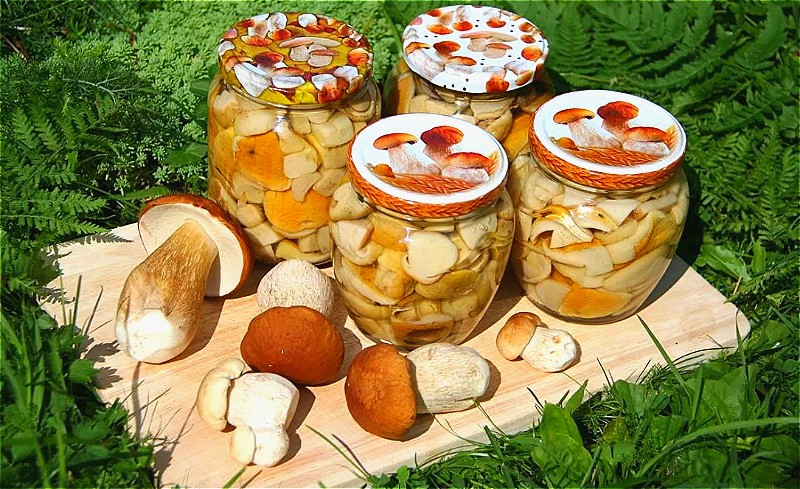Универсальный маринад для большинства грибов.
Грибочки получаются ну очень вкусными!
(и немного юмора...)