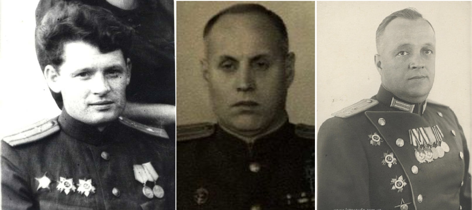 Волкодавы. Победившие бандеровщину