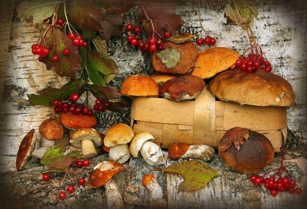 Лето грибами осень плодами. Натюрморт осенний. Осенние дары природы. Натюрморт с грибами. Натюрморт дары осени.