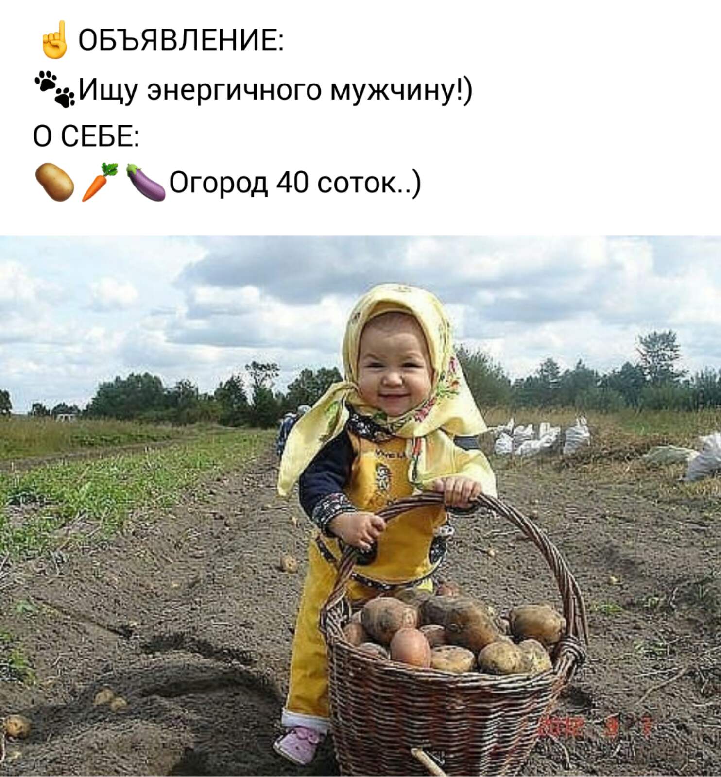 Люблю копать картошку