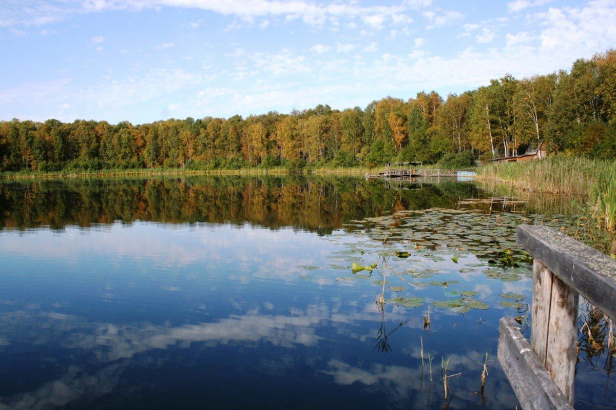 Озеры омской области. Муромцевский район пять озер. Пять озер Муромцево Омской области. Муромцево озеро Линево. Урманное озеро Омская область.