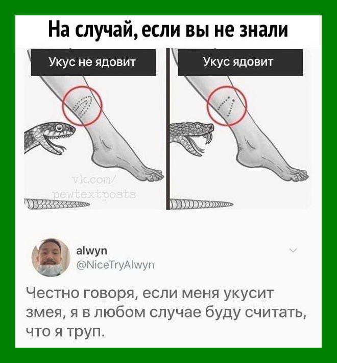 Что ответить на кусай за. Полезная инфа Мем.