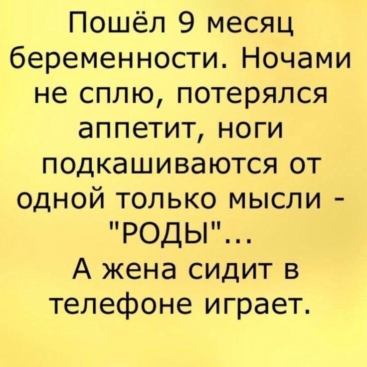 Конева телегина и кучер в чем прикол. Смотреть фото Конева телегина и кучер в чем прикол. Смотреть картинку Конева телегина и кучер в чем прикол. Картинка про Конева телегина и кучер в чем прикол. Фото Конева телегина и кучер в чем прикол
