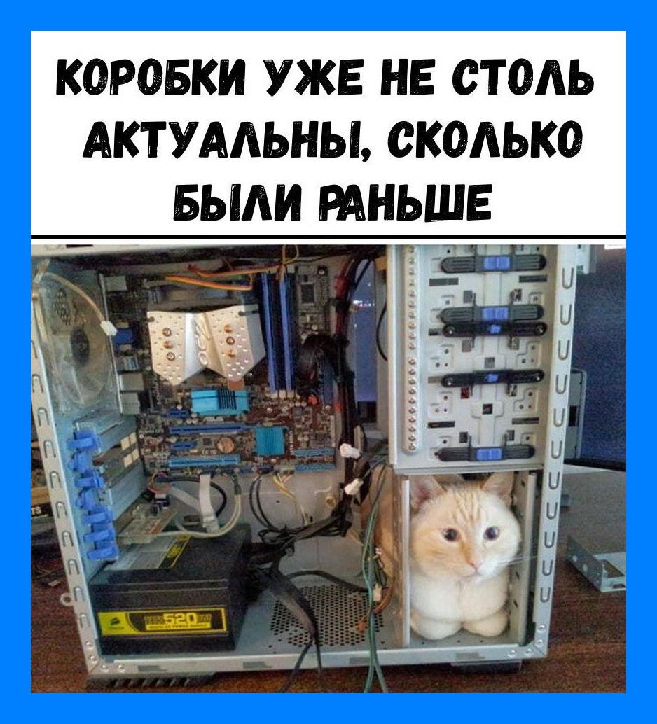Тем кто решил установить. Кот в системном блоке. Смешной компьютер. Компьютерные приколы. Прикольный комп.