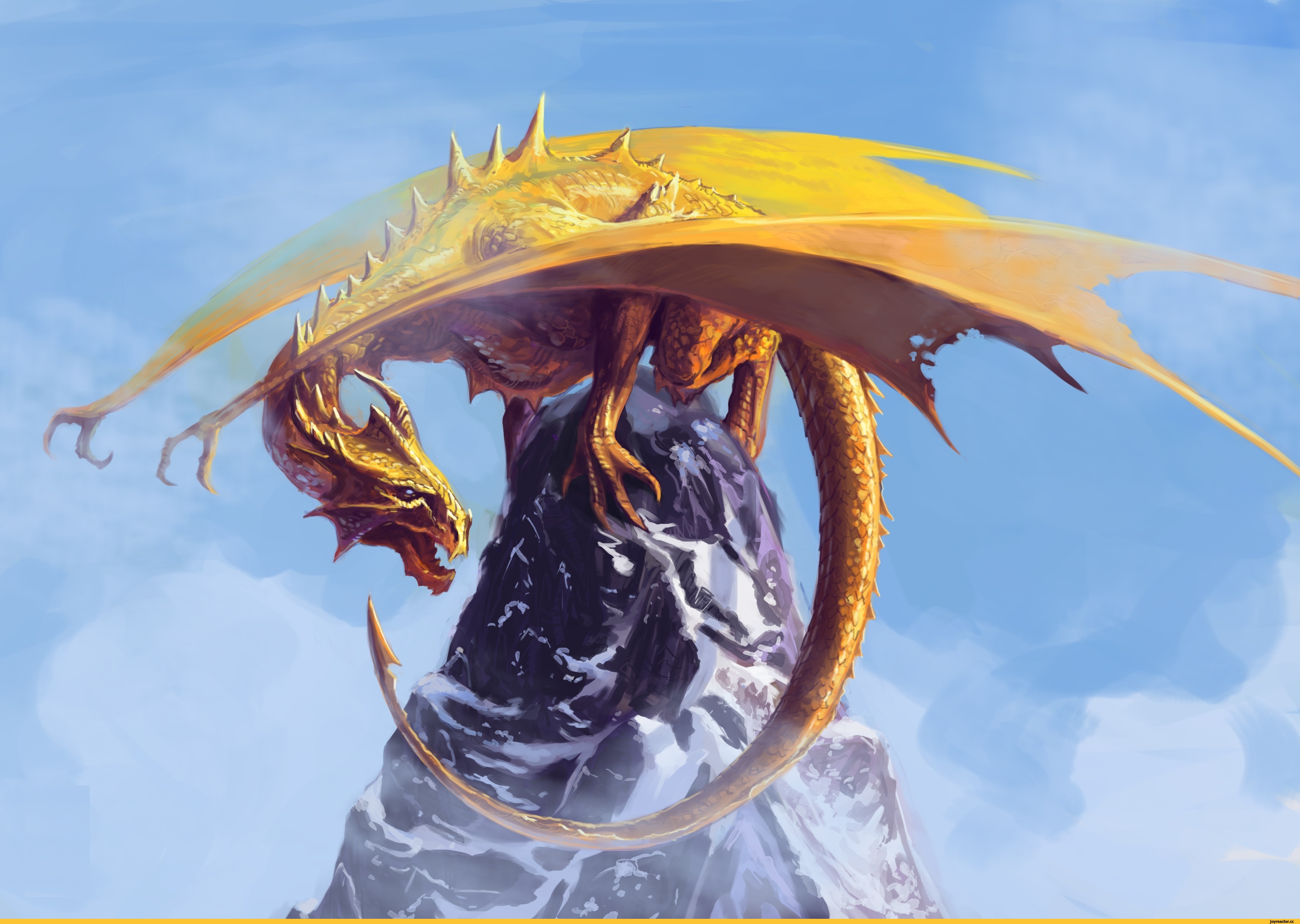 Взгляд золотого дракона.