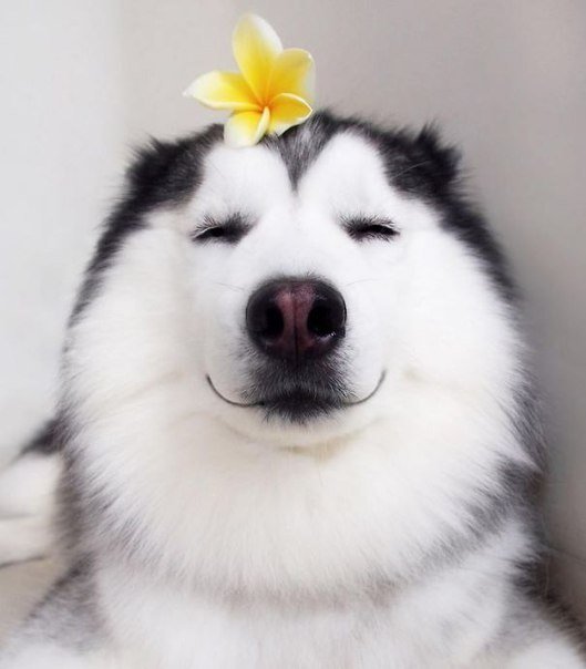 "НЕ ЖДИТЕ ЧУДА"