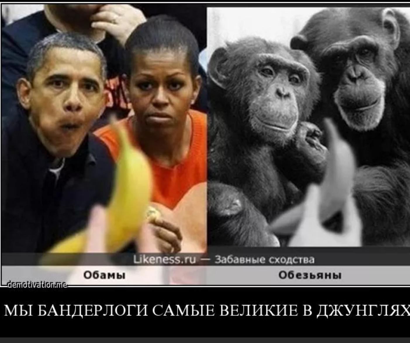 Мишель Обама обезьяна