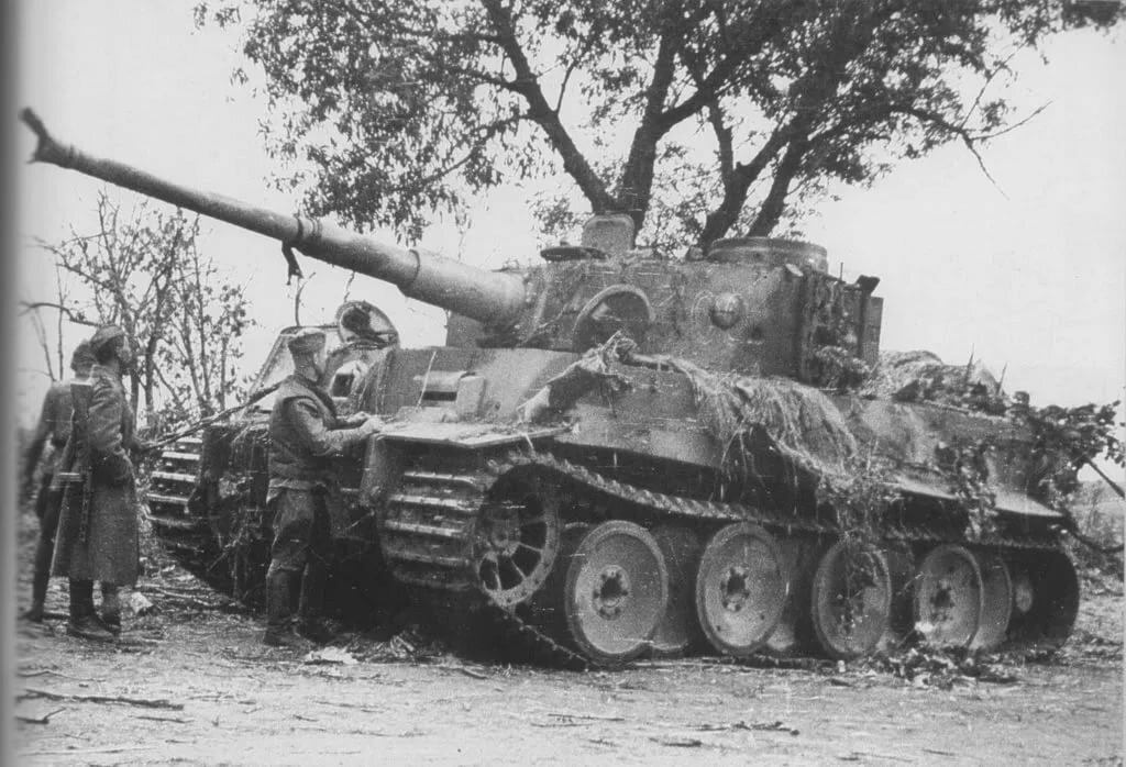 Тигр 1943 года. Танк тигр 1943 Курская дуга. Немецкий танк тигр в 1943. Танк тигр на Курской дуге. Подбитый танк тигр на Курской дуге.
