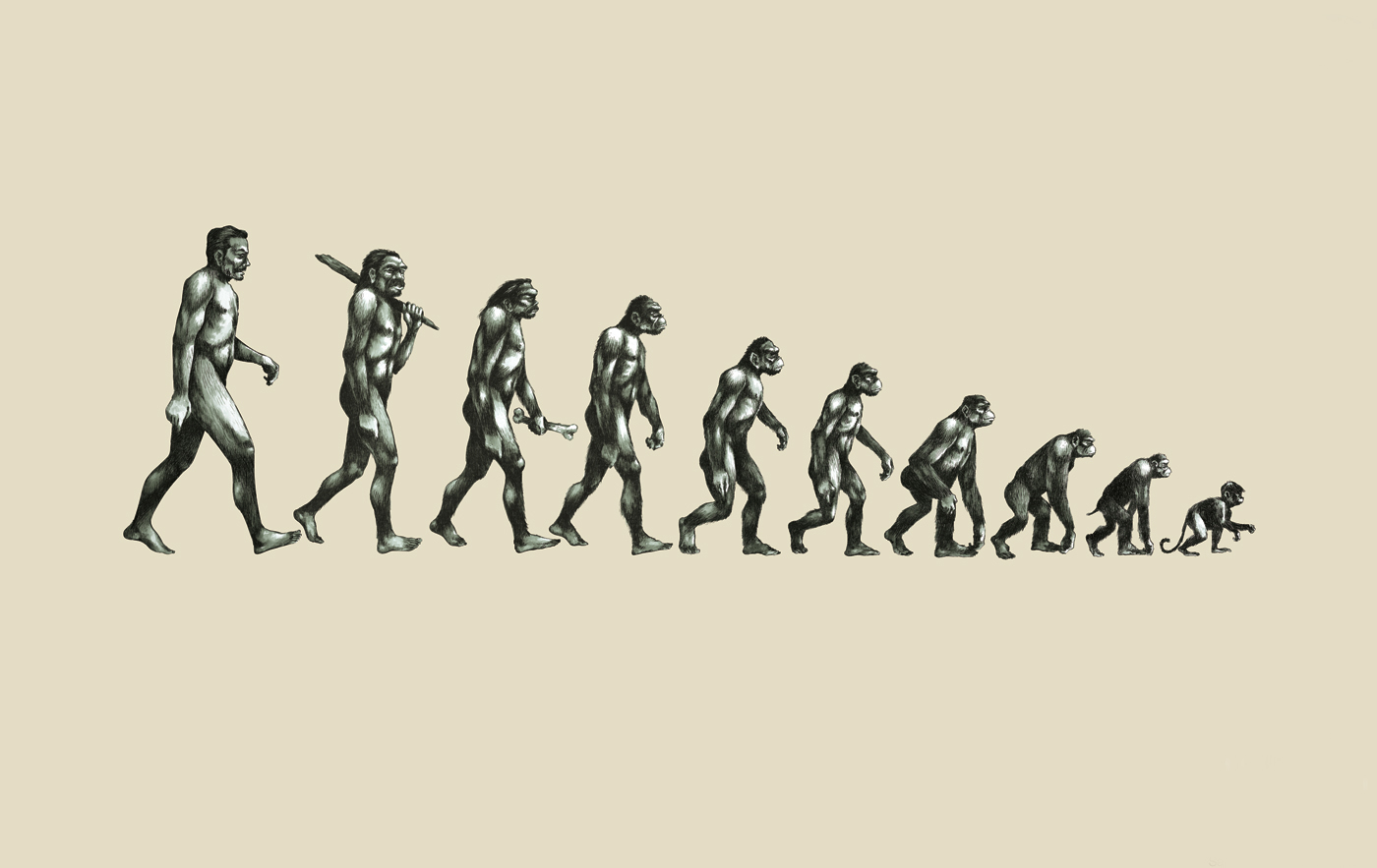 Эволюционирует ли человек. Человек превращается в обезьяну. Превращение обезьяны в человека. Превращение в обезьяну. Преобразование обезьяны в человека.