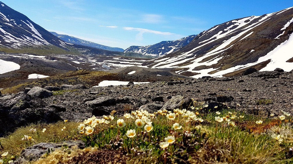 Весенний мурманск фото