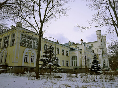 Сайт усадьбы курск. Усадьба Нелидовых Курск. Усадьба графа Нелидова Курск. Усадьба Нелидовых в Мокве Курск. Дворцово-парковый комплекс «Моква Курск.