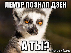 Познать дзен. Дзен Мем. Познал дзен Мем. Я познал дзен. Познай дзен Мем.