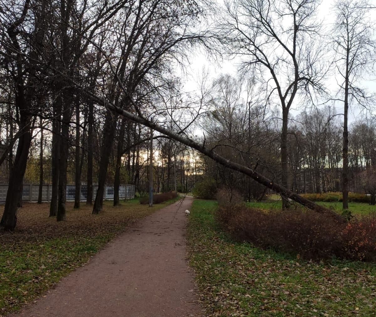 Туалет в удельном парке