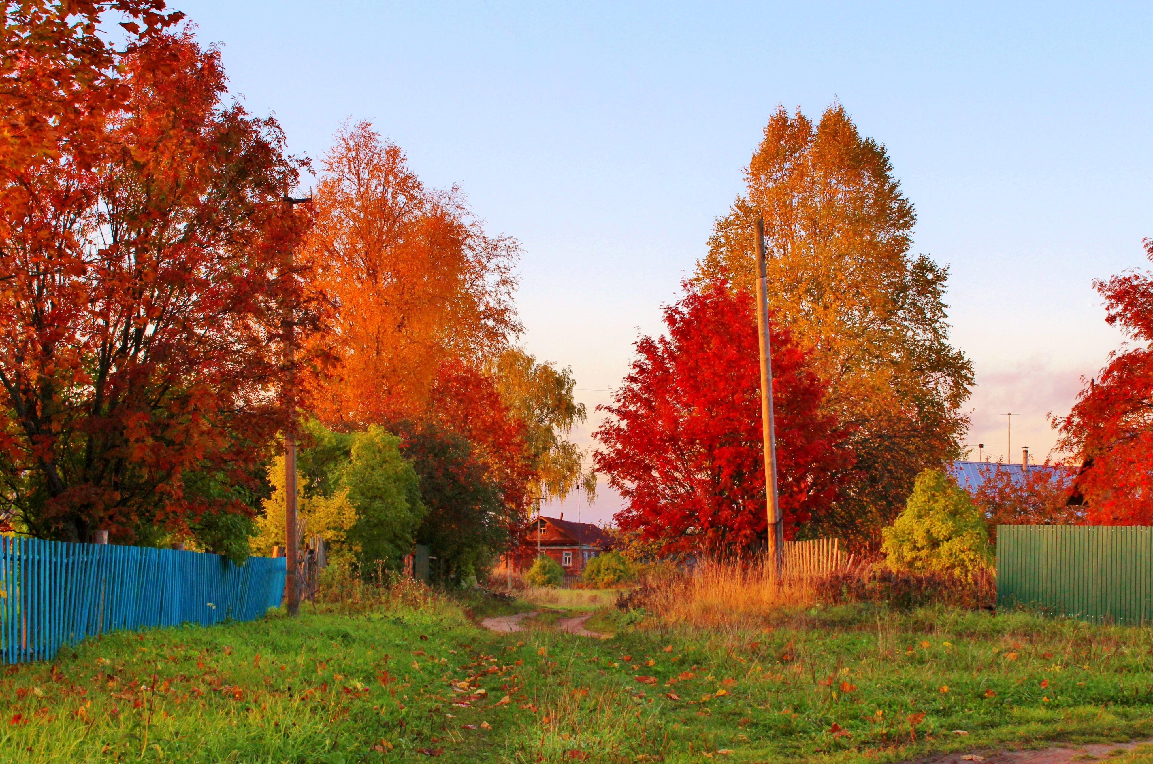 Золотая осень Вологодская деревня