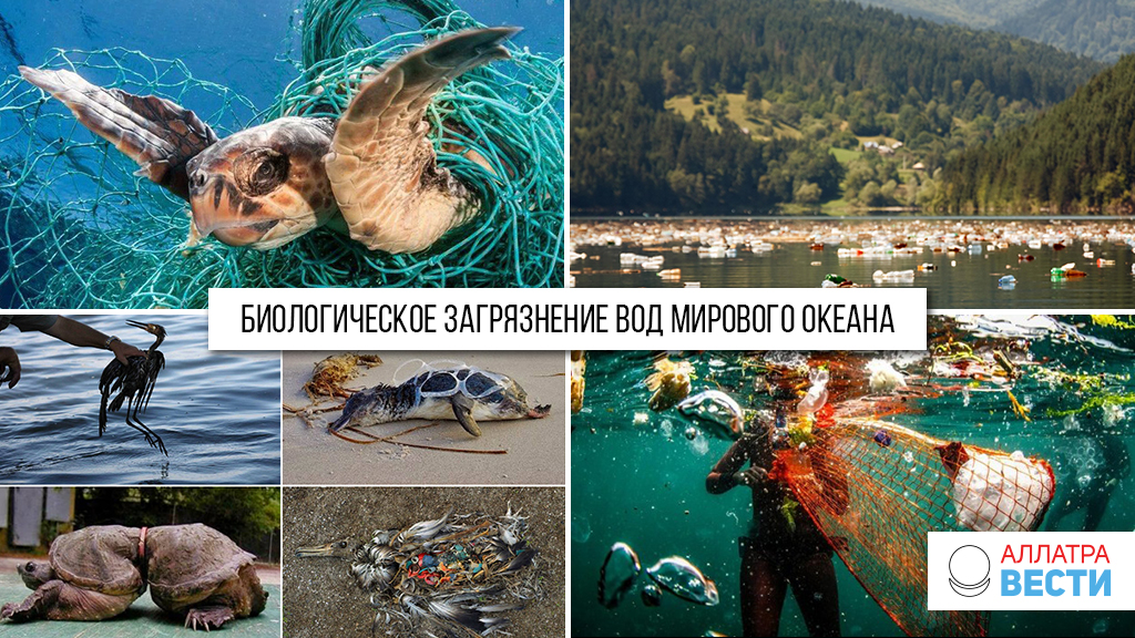 Тихий океан погибает