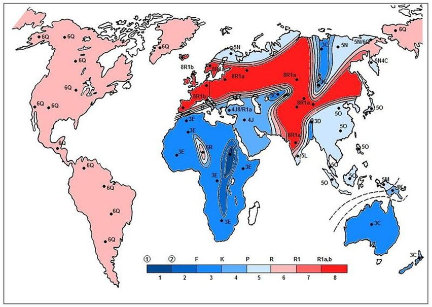 Расселение гаплогрупп в мире карта
