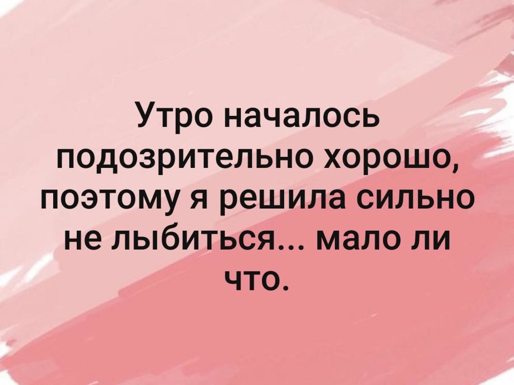 Утро начиналось подозрительно хорошо картинки