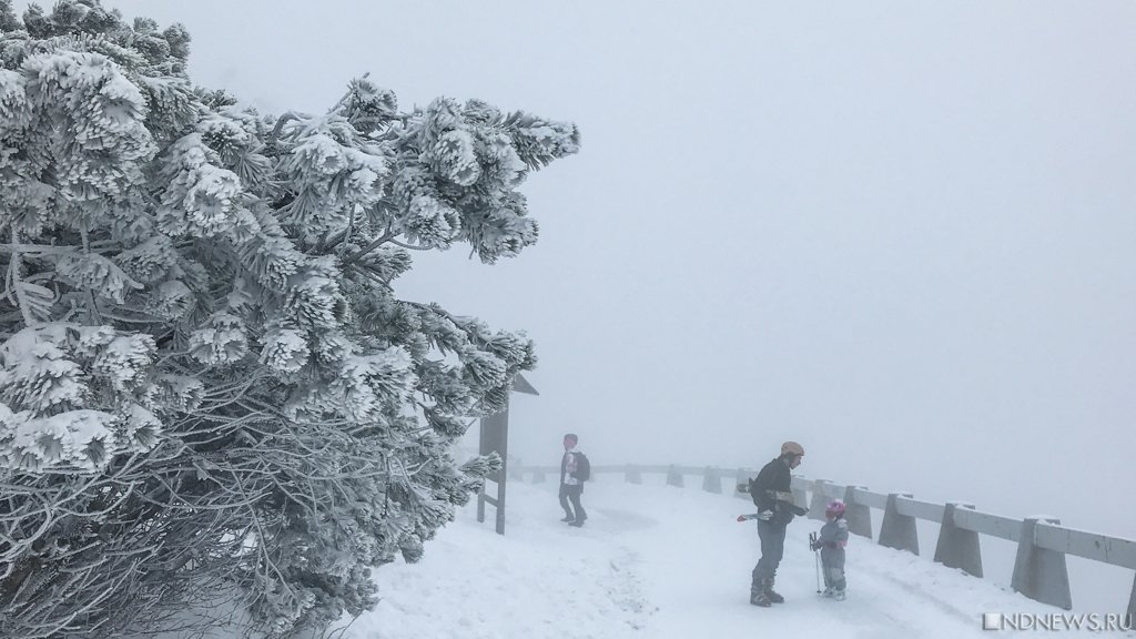 В начале февраля прошли сильные снегопады части. Снег в Крыму. Сильный снегопад в горах. Крым замело снегом. Снежный день.