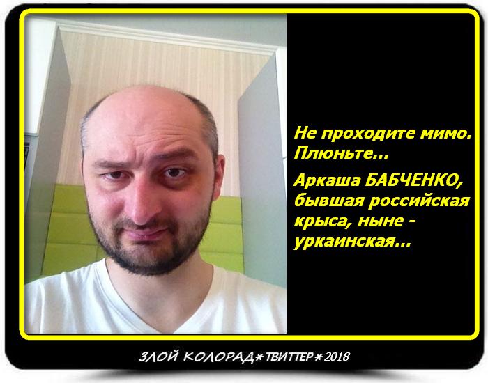 Бабченко телеграмм. Бабченко мемы. Бабченко приколы.