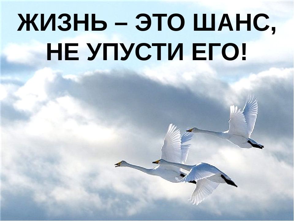 Шанс в жизни человека. Не упусти возможность. Шанс в жизни. Жизнь это шанс не упусти его. Используй свой шанс.