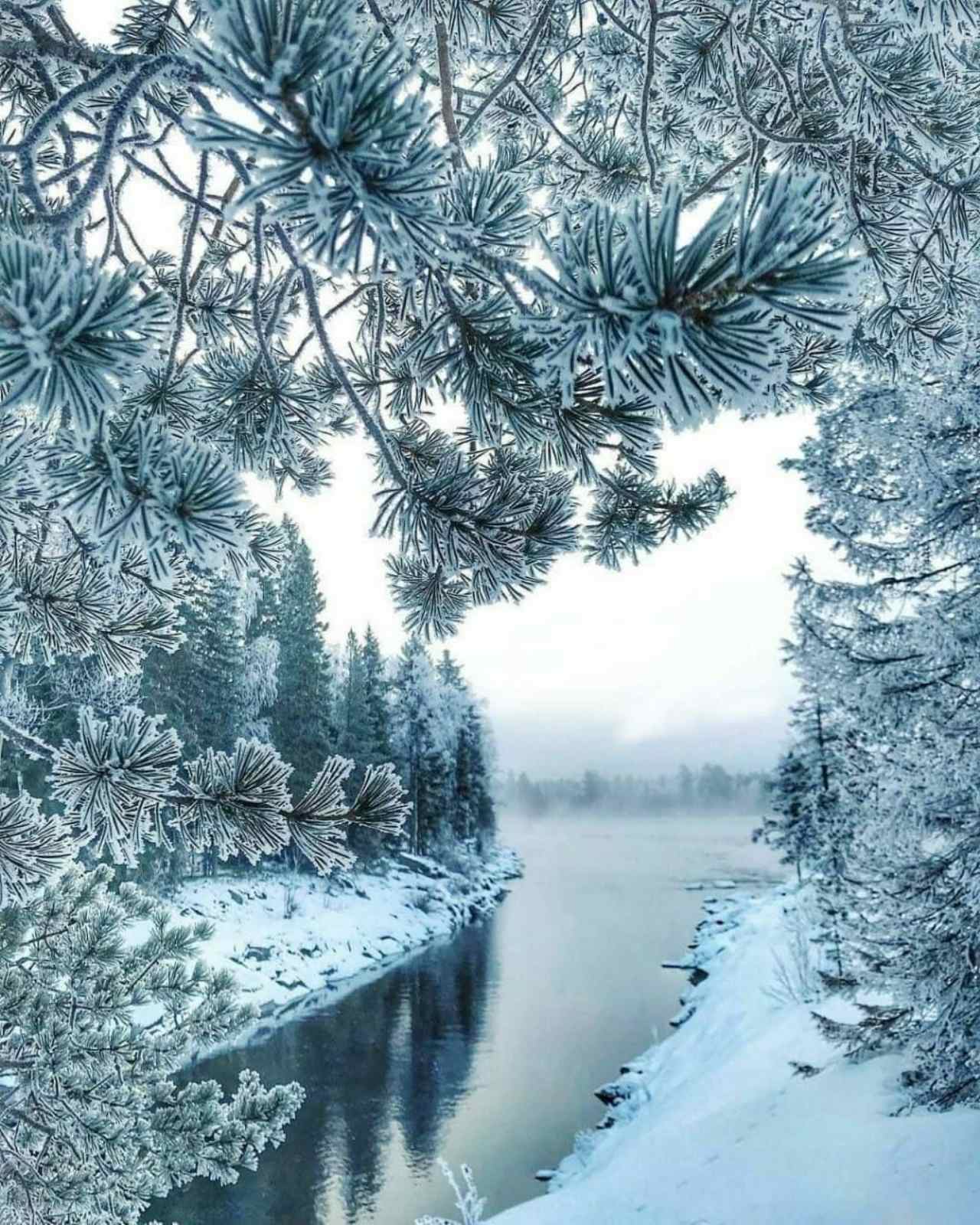 2 winter coming. Красота зимы. Царство зимы. Мир красоты зимней природы. Снегопад зима царство.