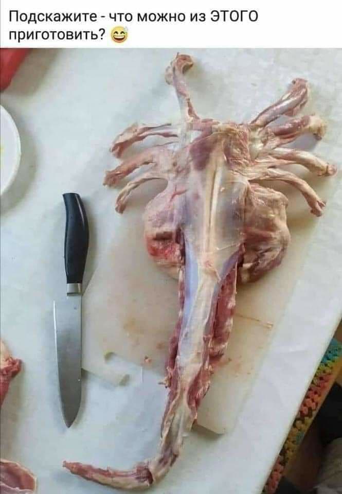 Весёлые картинки