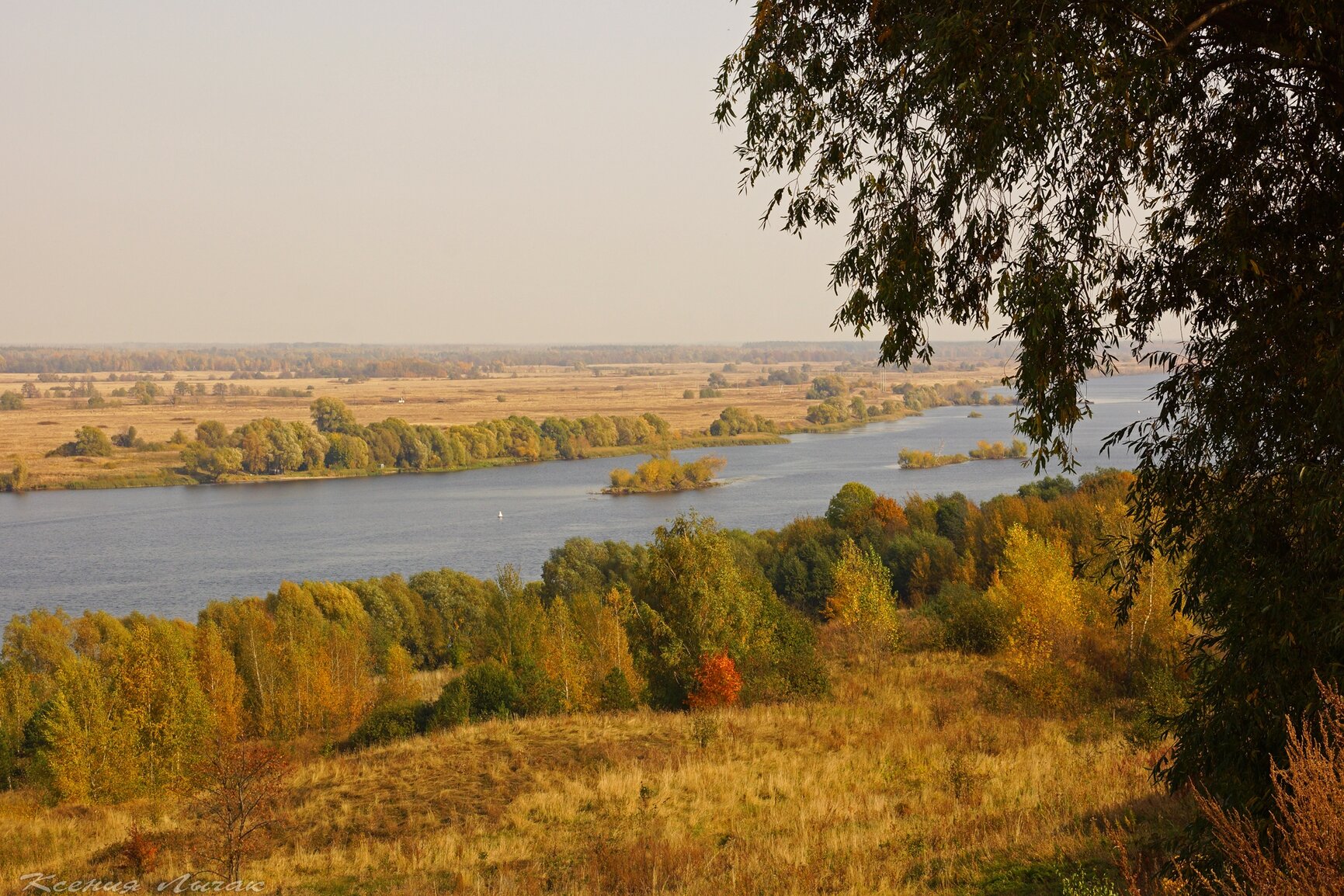 Рязань село есенина. Село Константиново Рязанская область. Селе Константиново Рязанской губернии.