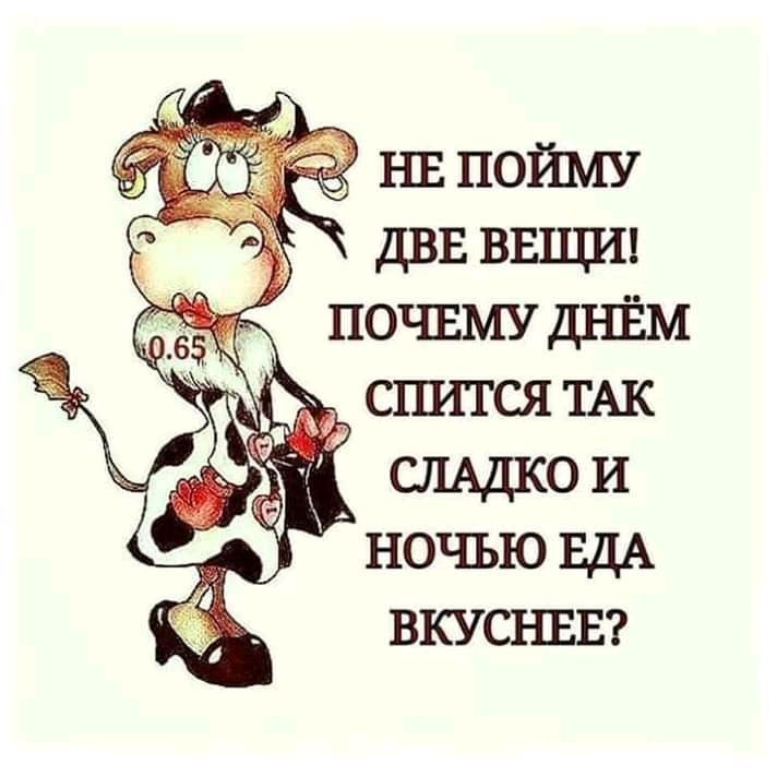 Есть две вещи. Четыре вещи не могу понять. Почему днем так сладко спится а ночью еда вкуснее. Верные слова картинки. Четыре вещи не могу понять картинка.