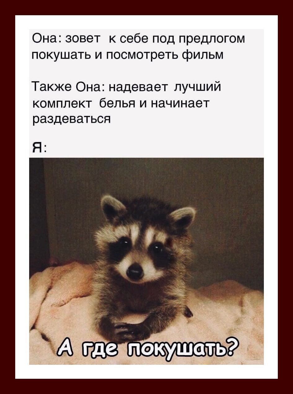 Добрые анекдоты и смешные истории в картинках
