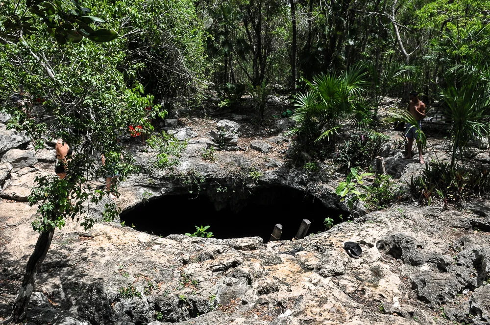 Forest hole