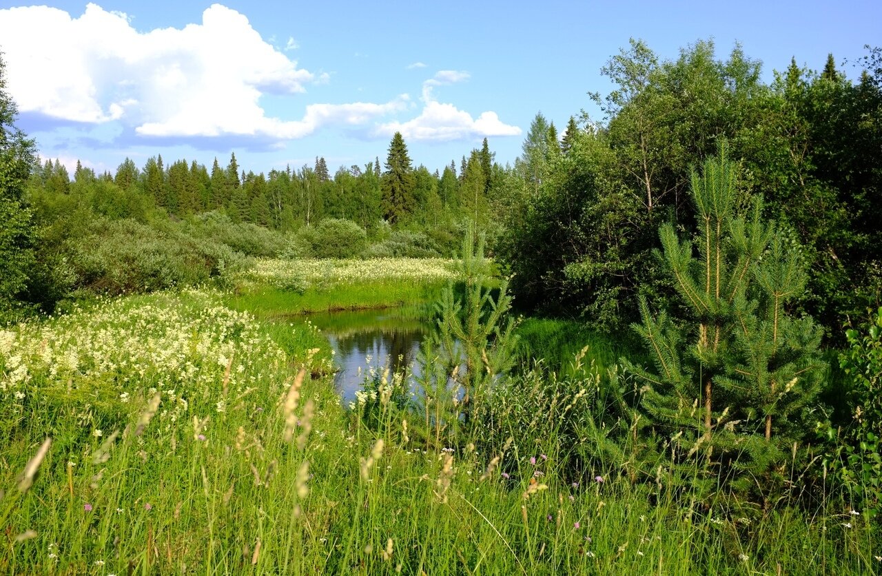 Погода латышская