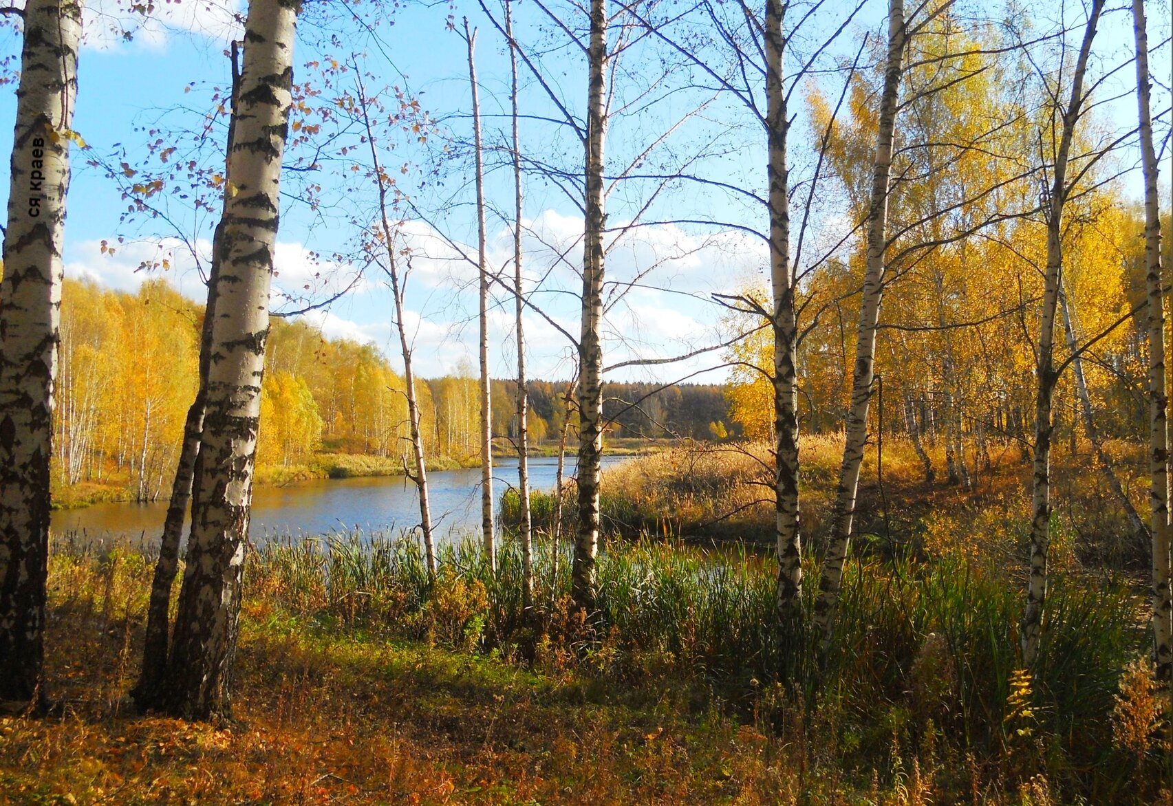 Фото сергея краева