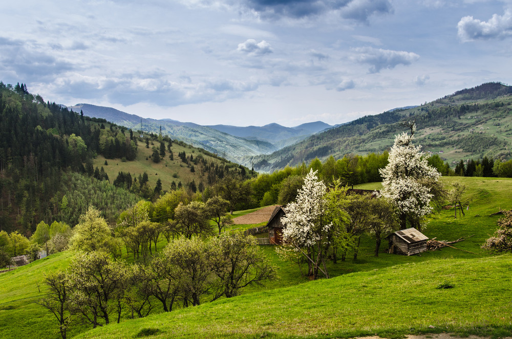 Природа украины фото самые красивые места