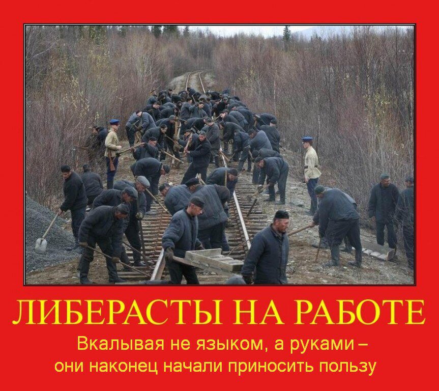 Идите русским лесом. Либерасты демотиваторы. Либералы демотиваторы. Карикатуры на либерастов. Приколы про либерастов.