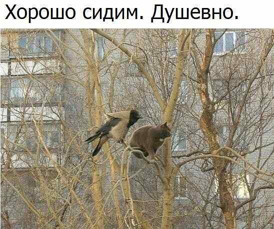 Веселая подборка анекдотов и шуточек, которая скрасит выходные