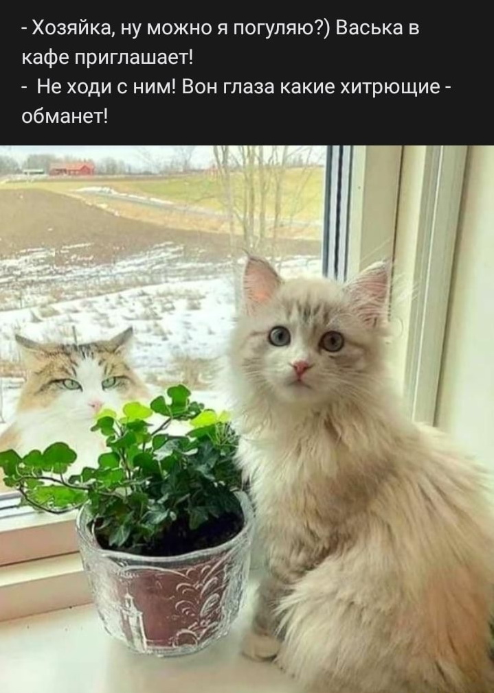 Веселая подборка анекдотов и шуточек, которая скрасит выходные