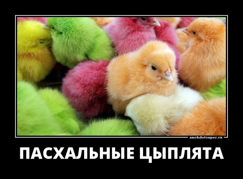 Веселая подборка анекдотов и шуточек, которая скрасит выходные