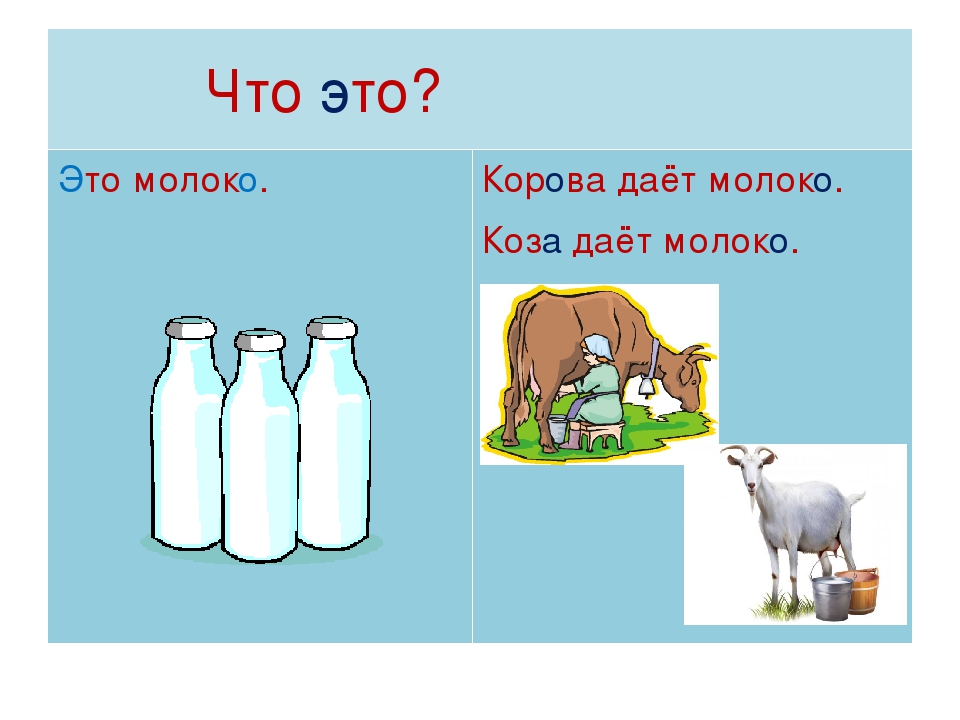 Сколько литров дает корова молока в день. Корова дает молоко. Корова дает молоко для детей. Коза дает молоко. Корова молоко коза молоко.