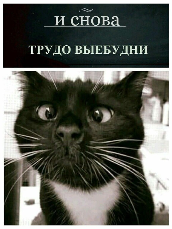 1%20IMG-688c54f46d1bd5c04363b8e6d3319bf5