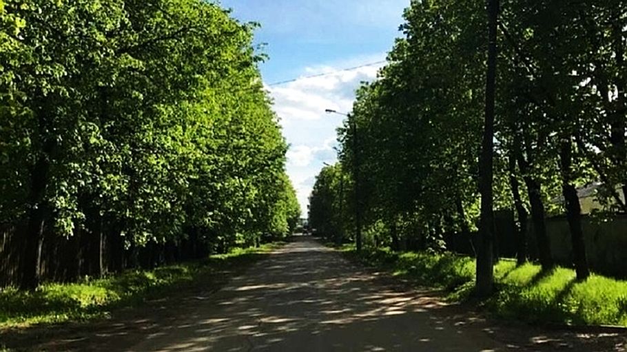 Зеленый московская область. Аллея ветеранов Одинцово. Липовая роща Одинцово. Пик вырубил аллею ветеранов в Одинцово. Липовая аллея ветеранов.