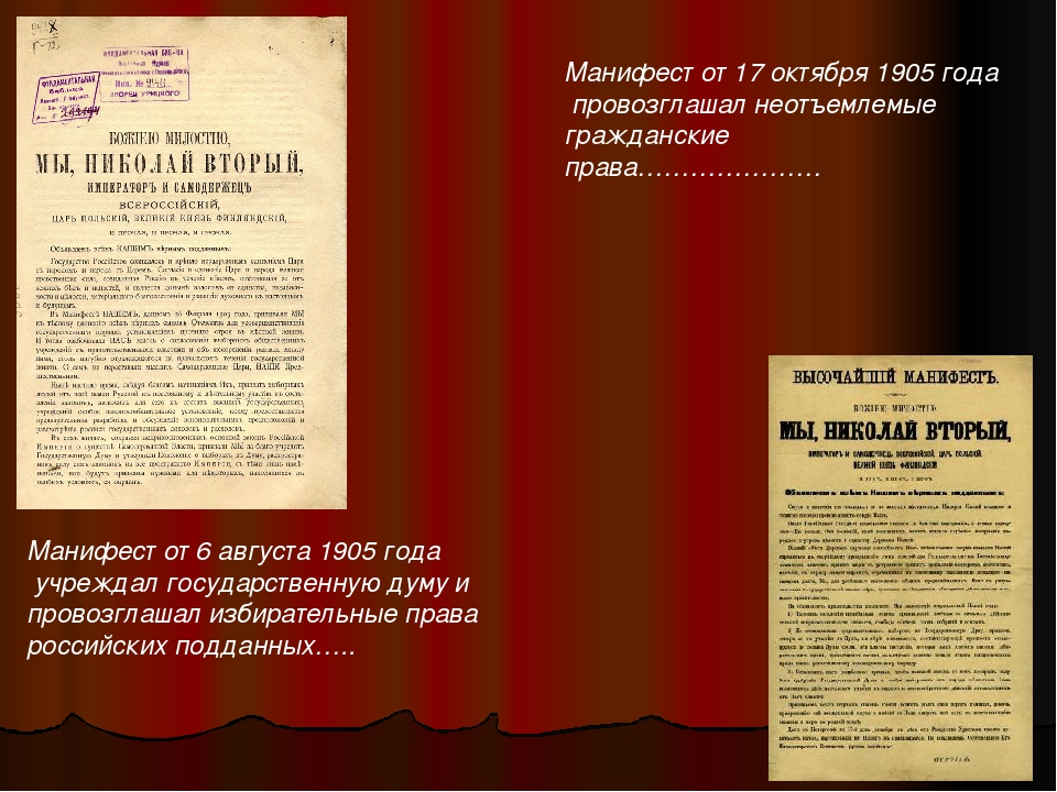 Государственная дума 6 августа 1905