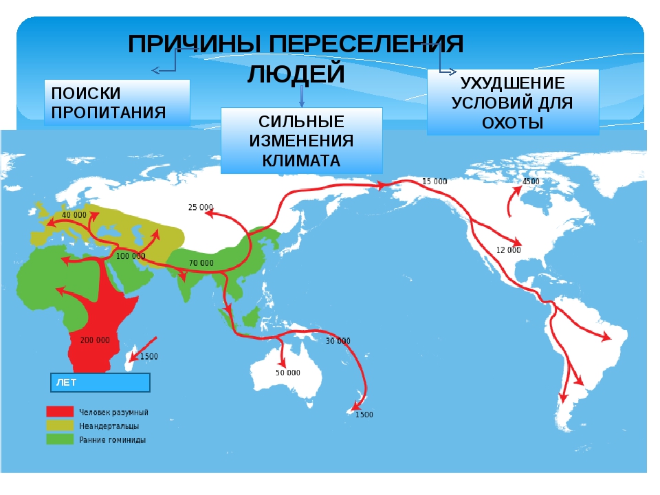 Распространение людей на земле 6 класс география. Карта расселения хомо сапиенс. Расселение первых людей из Африки. Карта заселения земли человеком. Карта миграции человечества.