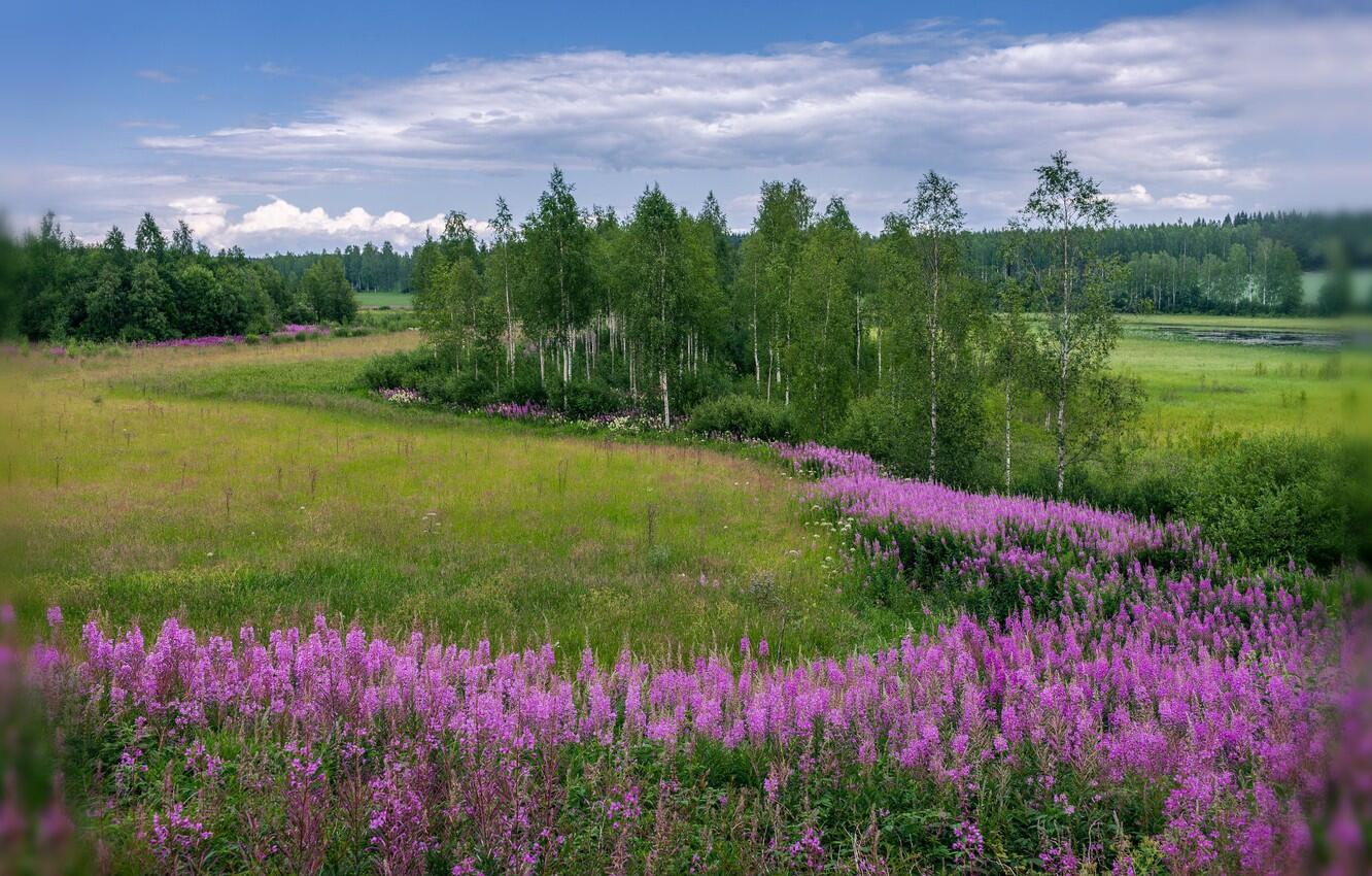 Красота растений Урала