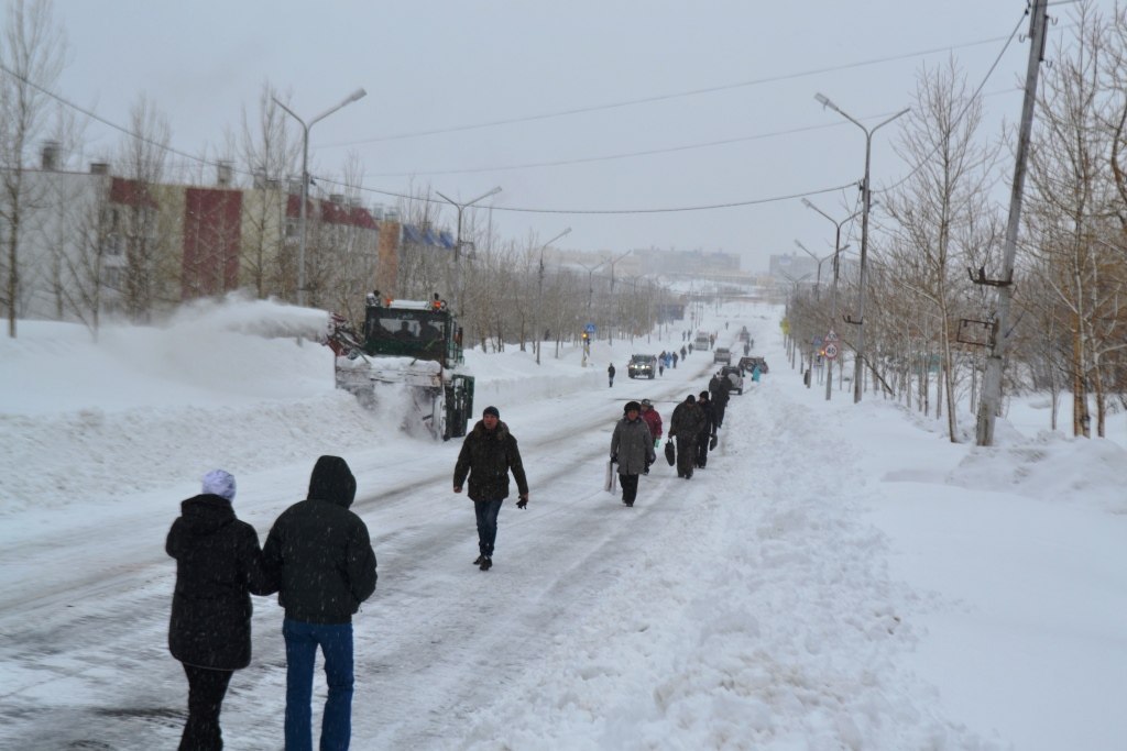 Петропавловск камчатский погода на год