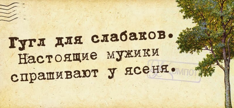 Я спросил. Гугл для слабаков настоящие мужчины спрашивают у ясеня. Гугл для слабаков настоящие мужики. Гугл для слабаков настоящие мужики спрашивают. Спроси у ясеня.