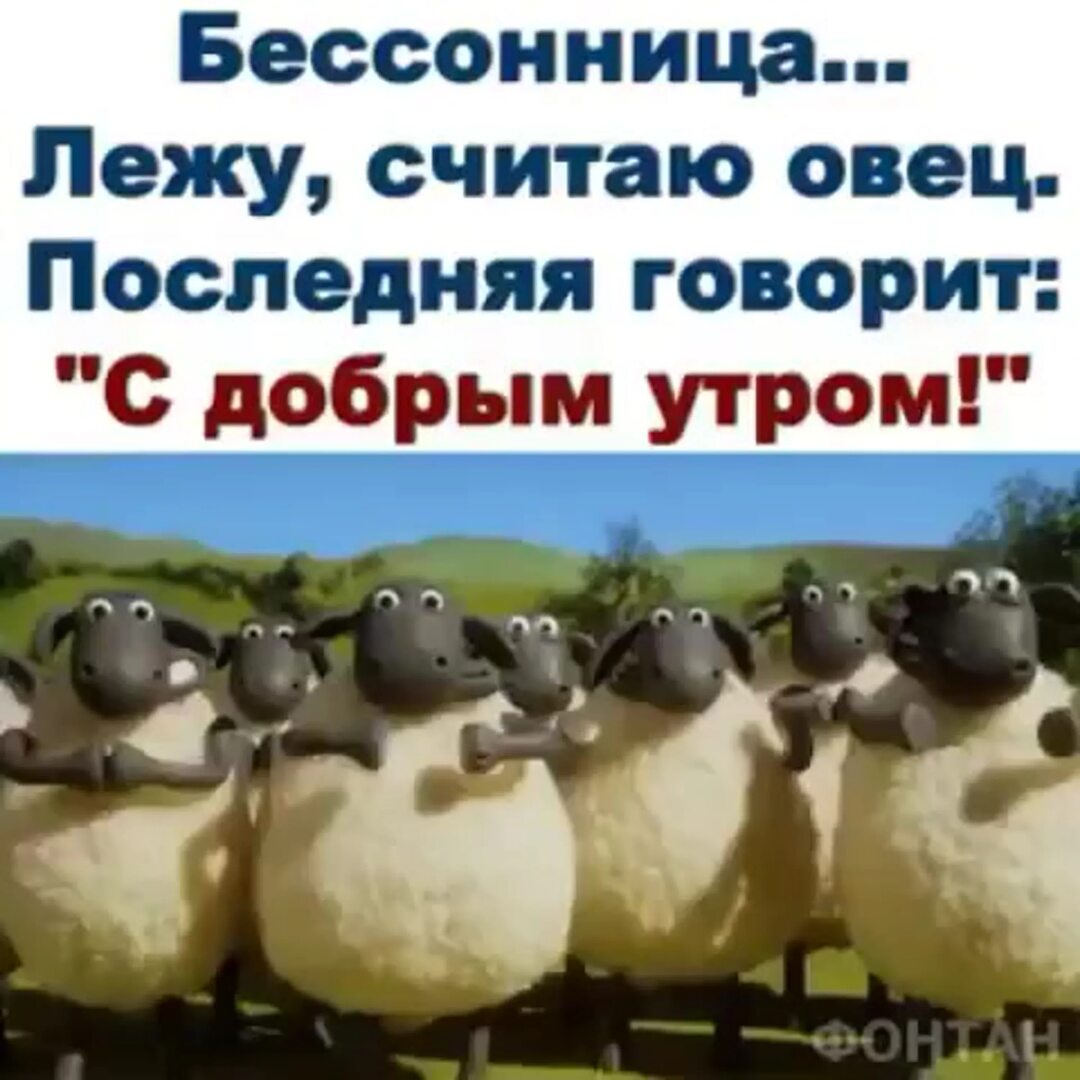 Скажи свежие. Лежу считаю овец последняя говорит с добрым утром. Считайте овечек. Лежу считаю овец. Считать овец.