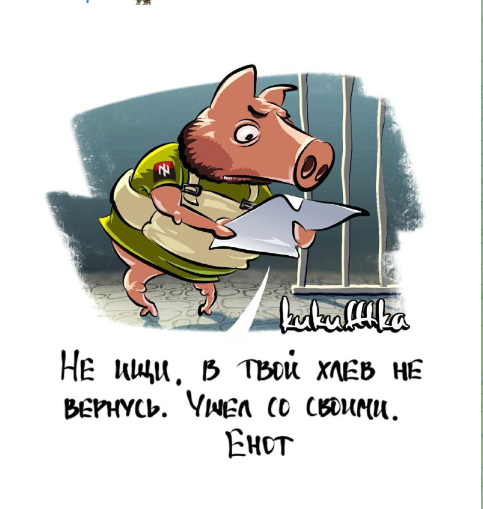 Судьба енота
